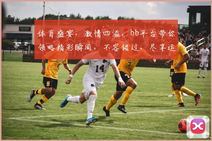 体育盛宴，激情四溢，bb平台带你领略精彩瞬间，不容错过，尽享运动魅力，精彩赛事，等你来战