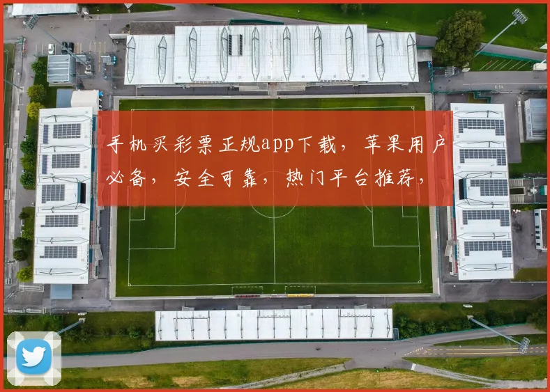 手机买彩票正规app下载，苹果用户必备，安全可靠，热门平台推荐，轻松购彩三步走