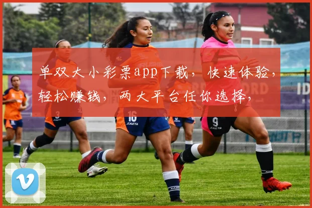 单双大小彩票app下载，快速体验，轻松赚钱，两大平台任你选择，