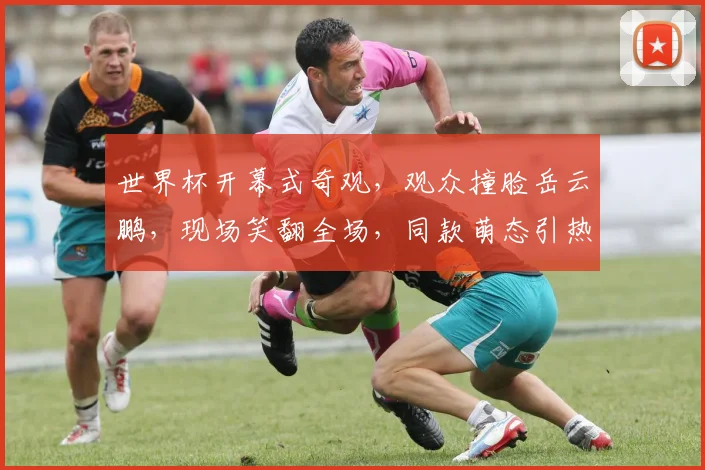 世界杯开幕式奇观，观众撞脸岳云鹏，现场笑翻全场，同款萌态引热议，火爆热搜