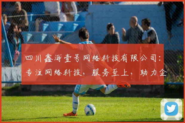 四川鑫海壹号网络科技有限公司：专注网络科技，服务至上，助力企业成长，三重优势，共赢未来